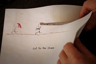 cut the chase idiom in english