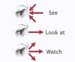 تفاوت look , see و watch در زبان انگلیسی