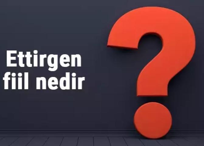 افعال سببی در زبان ترکی استانبولی