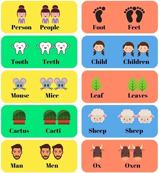 Irregular plurals