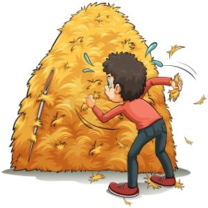 needle-in-a-haystack